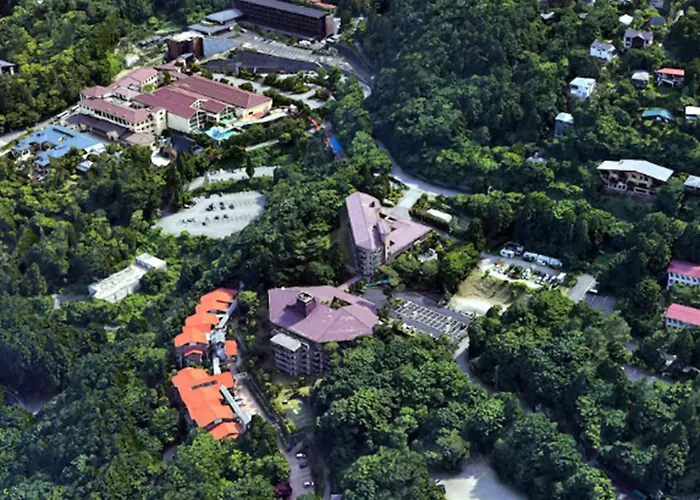 Hakone Forest Of Verde